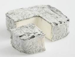 Cheeses of the world - Pavé Blesois